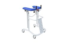 KOLICA ZA HODANJE – 2GS